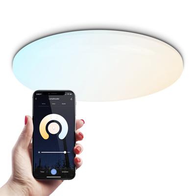 Smart plafondlamp - Rond - 30W - 3000lm - Ø42cm - RGBWW - Wifi + Bluetooth - Google Home, Amazon Alexa en Siri - Frameless - Bestuurbaar via App en Stem