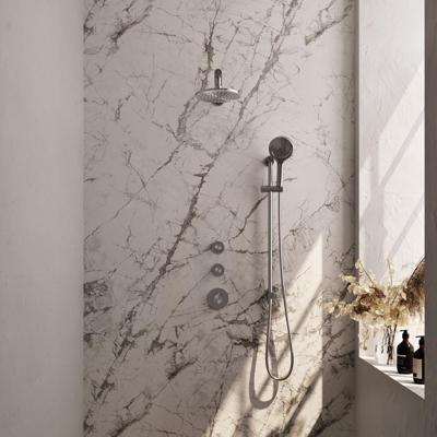 Brauer Brushed Edition Thermostatische Regendoucheset Inbouw - Hoofddouche 20 cm - Rechte Wandarm - Handdouche 3 Standen - Doucheslang - Geintegreerde Glijstang - Rvs