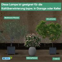 Venso LED-plantenlamp groei 65 cm 230 V LED vast ingebouwd 35 W RGBW 1 stuk(s) - thumbnail