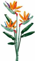 Sluban Flowers strelitzia reginae aiton (m38-b1121c) - thumbnail