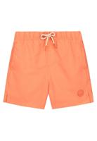 Shiwi Milo Zwembroek - thumbnail