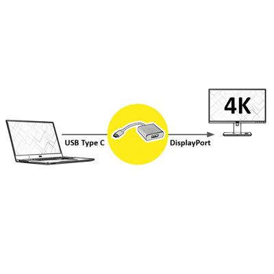 ROLINE Display Adapter USB Type C - DisplayPort v1.2, M/F