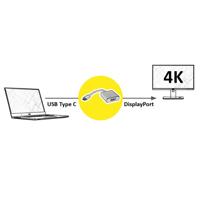 ROLINE Display Adapter USB Type C - DisplayPort v1.2, M/F - thumbnail