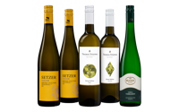 Grüner Veltliner Wijnpakket - thumbnail
