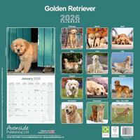 Golden Retriever Kalender 2026 - thumbnail