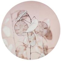 Muurcirkel mdf Ø58x2.5cm dollar blad - thumbnail