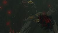 The Legend of Zelda Tears of the Kingdom Collector's Edition - thumbnail