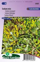 Sedum zaden Mix - thumbnail