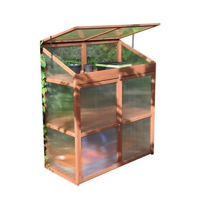 Sweet Basil kweekkas Sweet Basil kweekkas