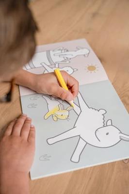 Little Dutch kleurboek little farm Little Dutch kleurboek little farm