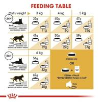 ROYAL CANIN Persian Adult - droog kattenvoer - 400g - thumbnail