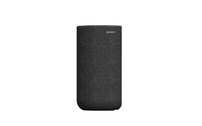 Sony SA-RS5 - satellietluidspreker achter, draadloos, met geïntegreerde accu, zwart