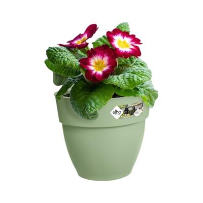 Elho Vibia Campana Small Hangpot groen - thumbnail