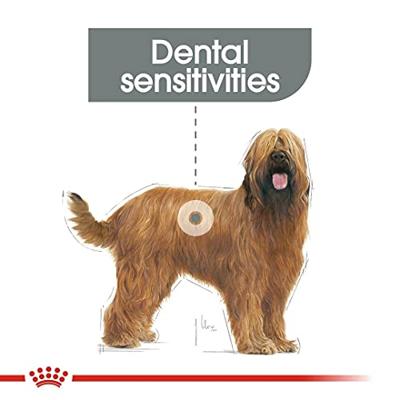 Royal Canin Dental Care Maxi hondenvoer 9kg