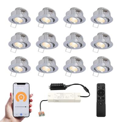 Set van 12 Sienna Smart LED Mini Inbouwspots - Veranda spots - 12V 3W 200lm - Dimbaar - Kantelbaar - Wifi & Bluetooth - 2700K - IP44 - RVS