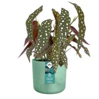 The ocean collection round 16cm pacifisch groen elho - Elho - thumbnail