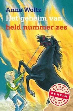 Het geheim van held nummer zes - Anna Woltz - ebook