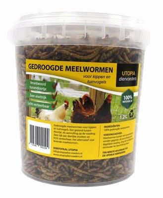 UTOPIA GEDROOGDE MEELWORMEN