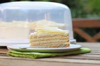 Rotho fresh taartdoos 35.5x16.5 cm wit/transparant - thumbnail