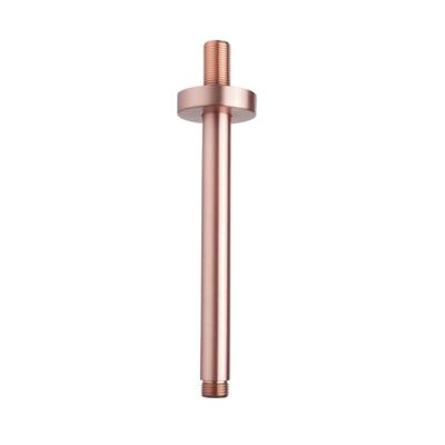 Wiesbaden Luxe Douche-Arm Rond Plafondbevestiging 20 cm Geborsteld Koper