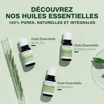 Pranarôm Essentiële Olie Spijk Lavandel 10ml - thumbnail
