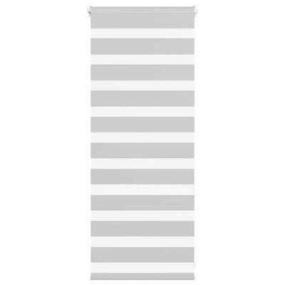Zebra rolgordijn 60x100 cm stofbreedte 55,9 cm lichtgrijs Zebra rolgordijn 60x100 cm stofbreedte 55,9 cm lichtgrijs