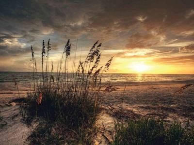 Strand avond 70x50cm Tuinschilderij Customize-it - Customize it