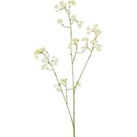 Kunstbloem Gyps - thumbnail