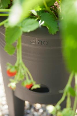 ELHO Green Basics Aardbeienpot 33 - Zwart - Ø 33 x H 42 cm - buiten kweken en oogsten - 100% gerecycled