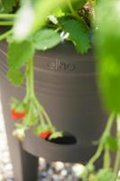 ELHO Green Basics Aardbeienpot 33 - Zwart - Ø 33 x H 42 cm - buiten kweken en oogsten - 100% gerecycled - thumbnail