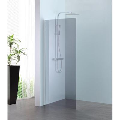 Sub 066 walk-in douchewand 200 x 100 cm, chroom-grijs clean
