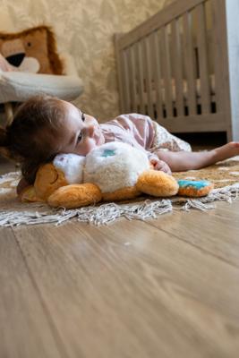 VTech slaap zacht knuffelkat