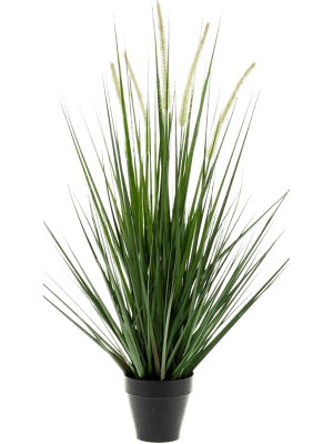 Wants&Needs Plants Kunstplant Alopecurus Grass Wants&Needs Plants Kunstplant Alopecurus Grass