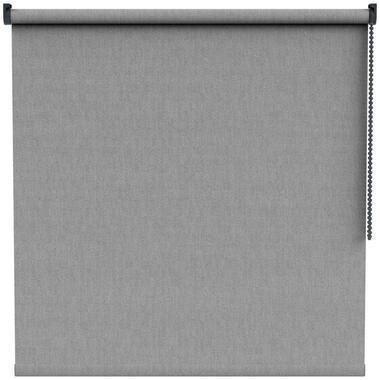Fenstr rolgordijn Keulen lichtdoorlatend - grijs (20203)