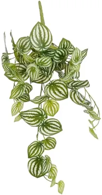 Mica Decorations kunst hangplant peperomia 65cm groen