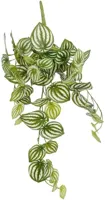 Mica Decorations kunst hangplant peperomia 65cm groen - thumbnail