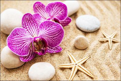 Fotobehang - Orchidee op het strand, Spa, inspiratie, zeester, in 11 maten te koop, incl behanglijm