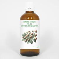 Balancepharma Gemmo simplex 11 crataegus oxyacantha 100 Milliliter - thumbnail