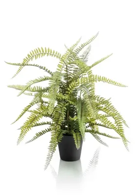 Emerald kunstplant in kunststof pot bostonvaren 70 cm