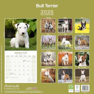 Bull Terrier Kalender 2026