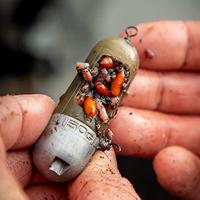 Guru Window Feeder Medium 30 gr + 40 gr - thumbnail