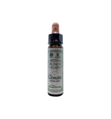 Ainsworths Clematis Bach 10 Milliliter Ainsworths Clematis Bach 10 Milliliter