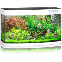 Juwel aquarium Vision 180 LED met filter wit Juwel Gebr. de Boon - Gebr de boon - thumbnail