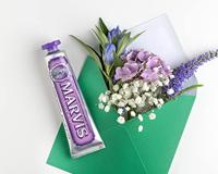Toothpaste + Xylitol - thumbnail