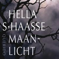 Maanlicht - thumbnail