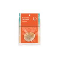 De Steen van Voorspoed (Aventurijn Oranje) - thumbnail