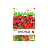 Biologische Kerstomaten Cerise - thumbnail