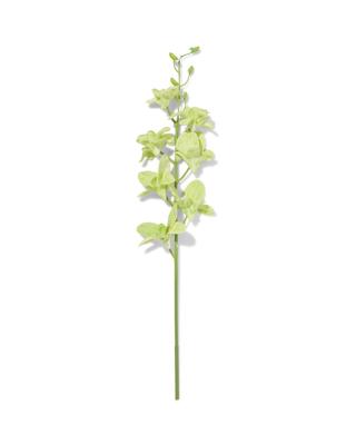 HEMA Kunstbloem 55cm dendrobium rubber groen (groen)