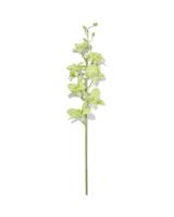 HEMA Kunstbloem 55cm dendrobium rubber groen (groen) - thumbnail