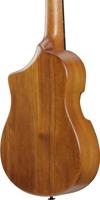 Ibanez AUT10 Open Pore Natural tenor ukelele met gigbag - thumbnail